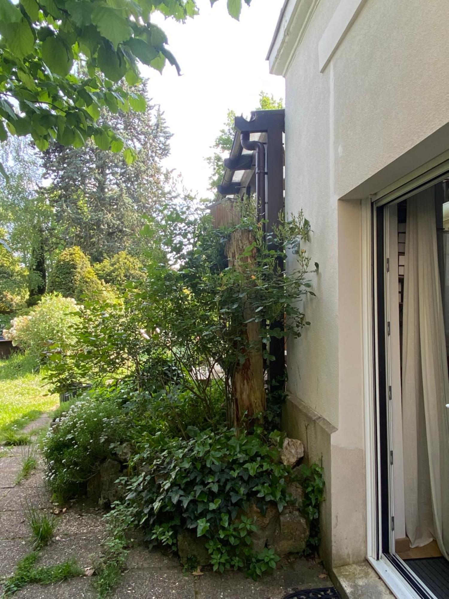 Les Charmettes Chambre D Hotes Independante Villemoisson-Sur-Orge Eksteriør bilde